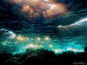 The reef at sunset by Brad Ryon 